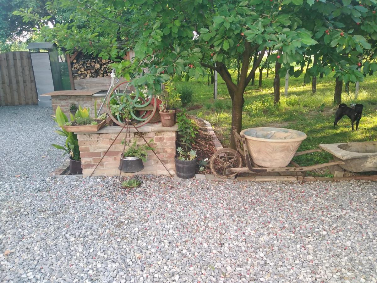 B&B Majhen Kopacevo Exteriör bild